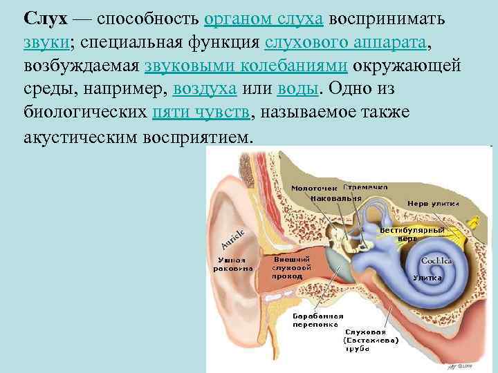 Реж щий слух звук