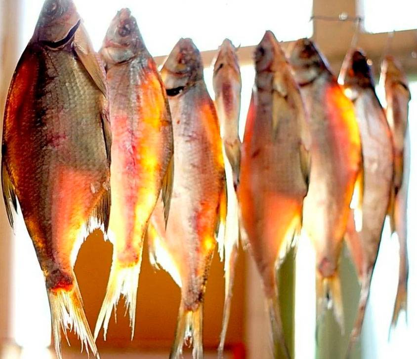 Как вялить рыбу