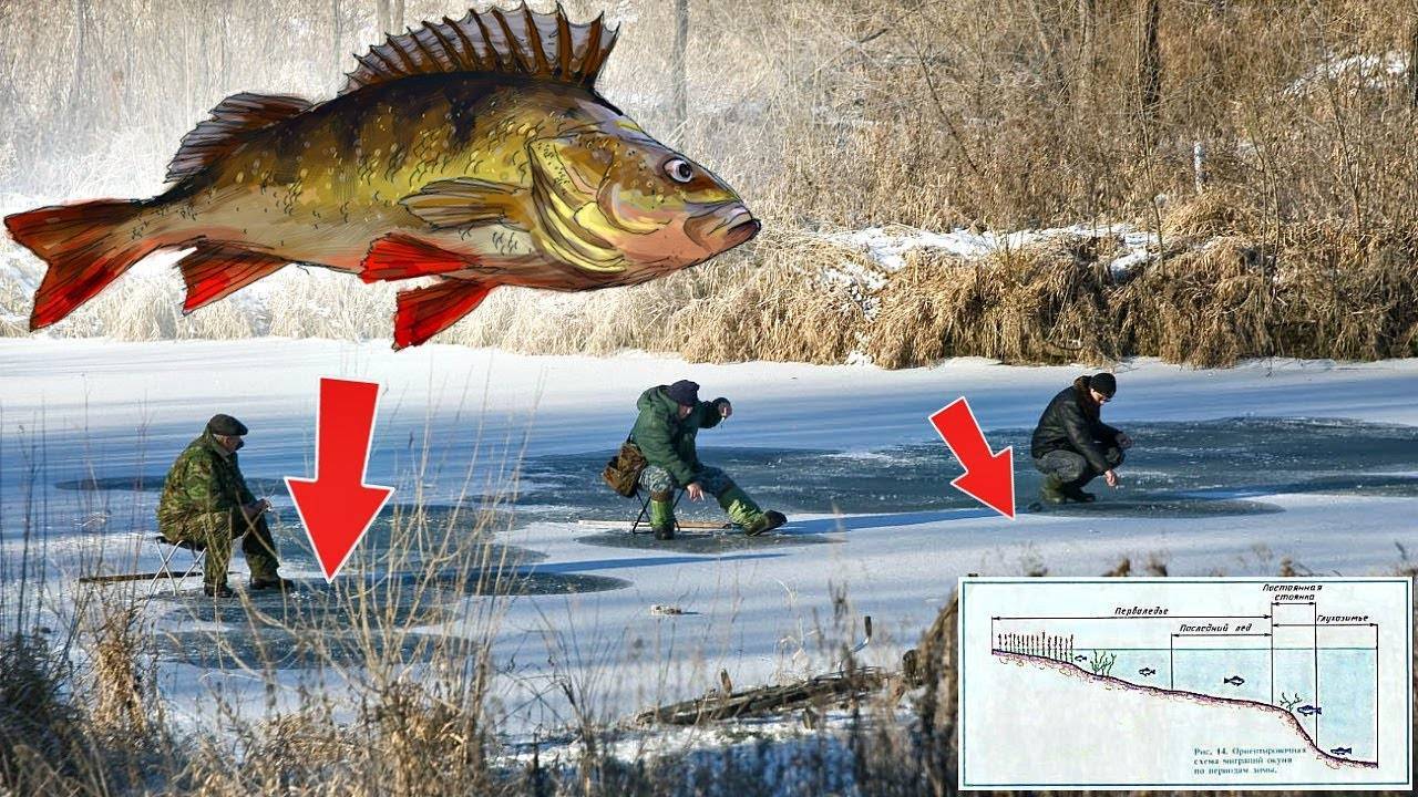 Ловля окуня в марте - все про рыбалку