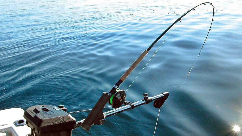 Троллинговая рыбалка техника | ловля для начинающих