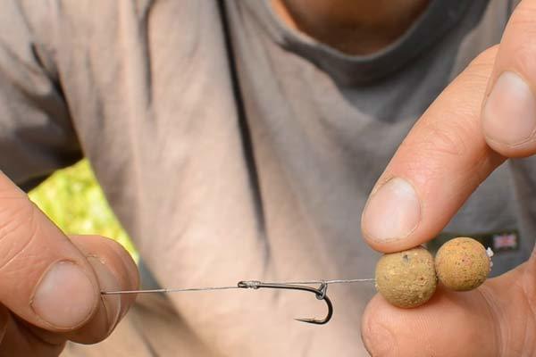 Ловля на бойлы: как правильно рыбачить на мини-бойл? какую рыбу можно поймать? как использовать бойлы с кормушкой и без?