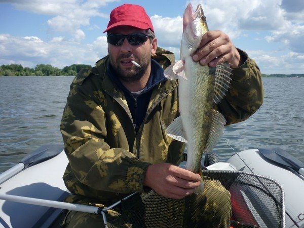 Прогноз клева можайское водохранилище. Рыба Можайского водохранилища. Можайское водохранилище рыбалка. Рыбалка в Красновидово Можайского района. Рыбалка в Красновидово на Можайке.