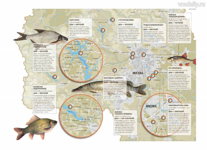 Истринское водохранилище — какие есть ограничения для рыбаков?