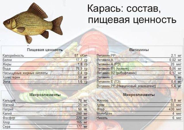 Кета что за рыба?, 19 полезных свойств, польза и вред для здоровья