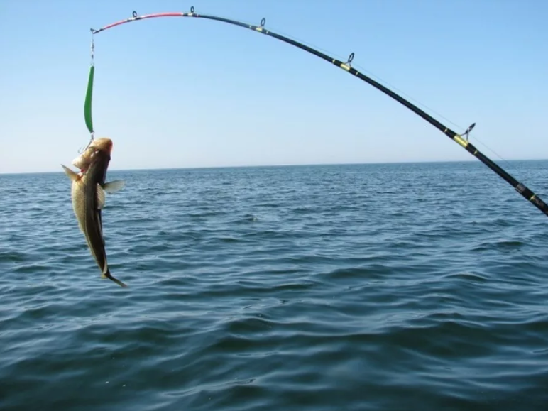 Где, на что и в какое время года ловить барабульку в чёрном море – рыбалке.нет