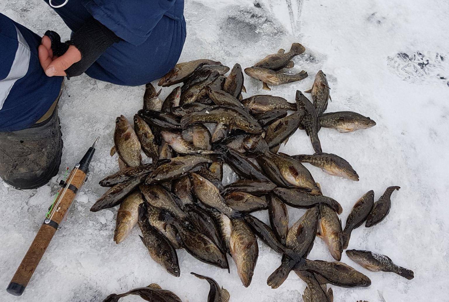 Отчеты рыбалка челябинские озера