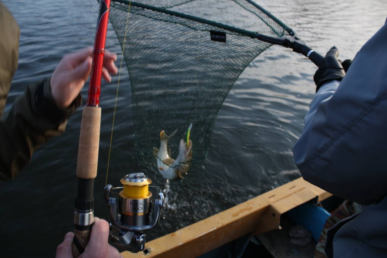 Троллинг: рыбалка для начинающих. рыбалка троллингом на лодке