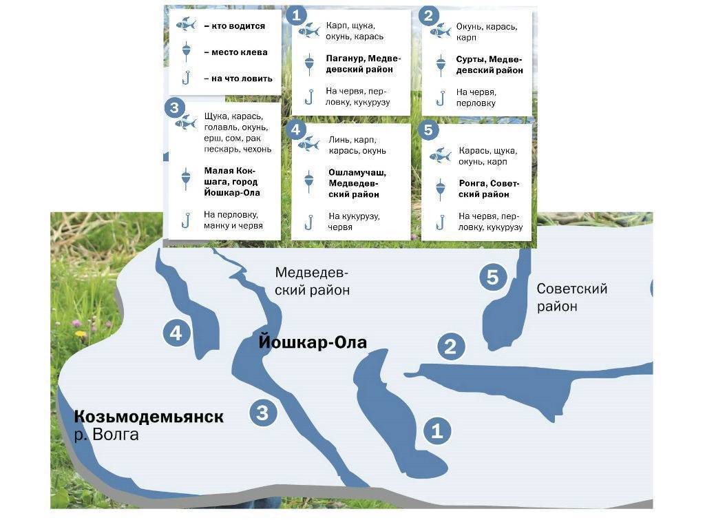 Бисерово платная рыбалка карта