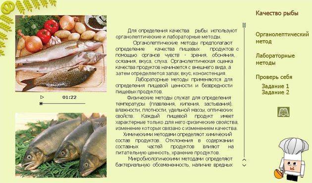 Рыба хоки: где обитает, чем полезна, лучшие рецепты