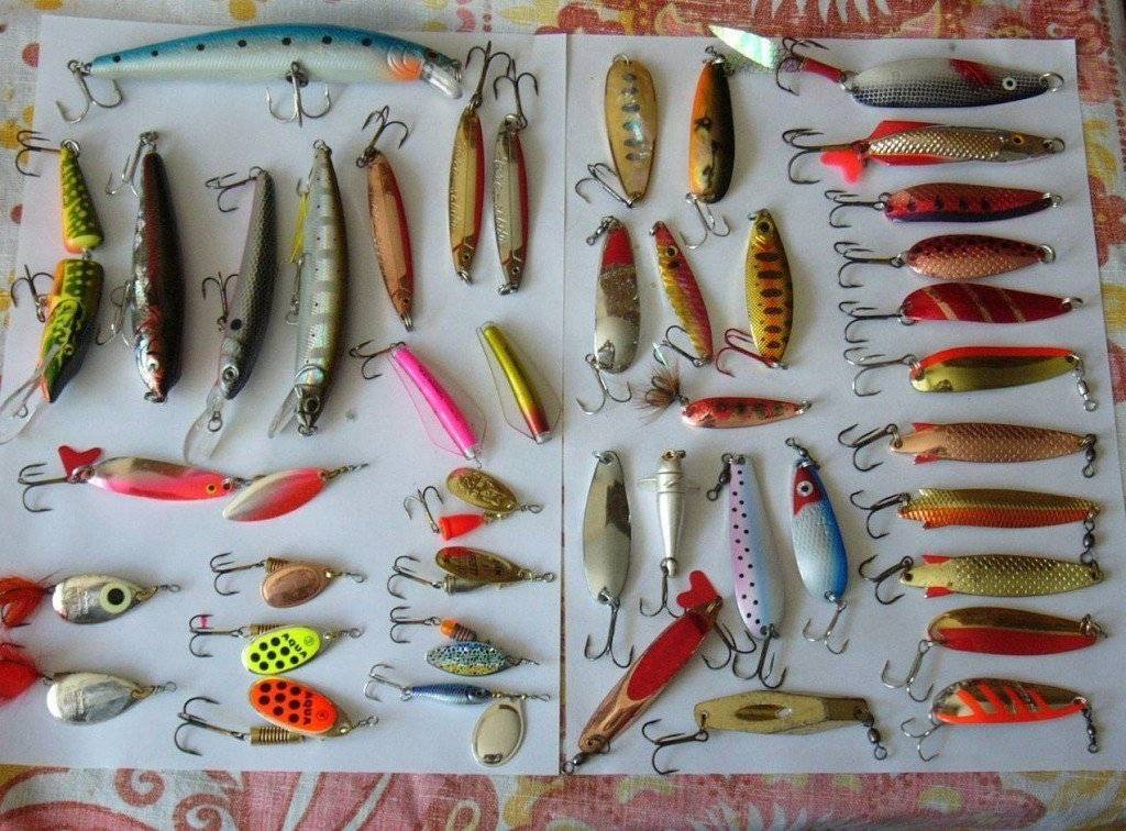 Ловля на мандулу: техника и особенности ловли хищников. нюансы и важные особенности ловли (105 фото)