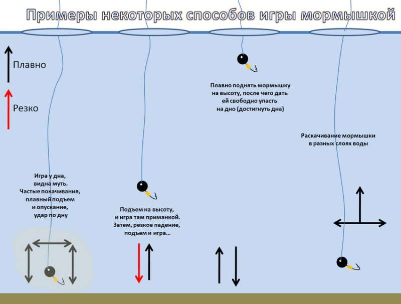 на что можно поймать чебака