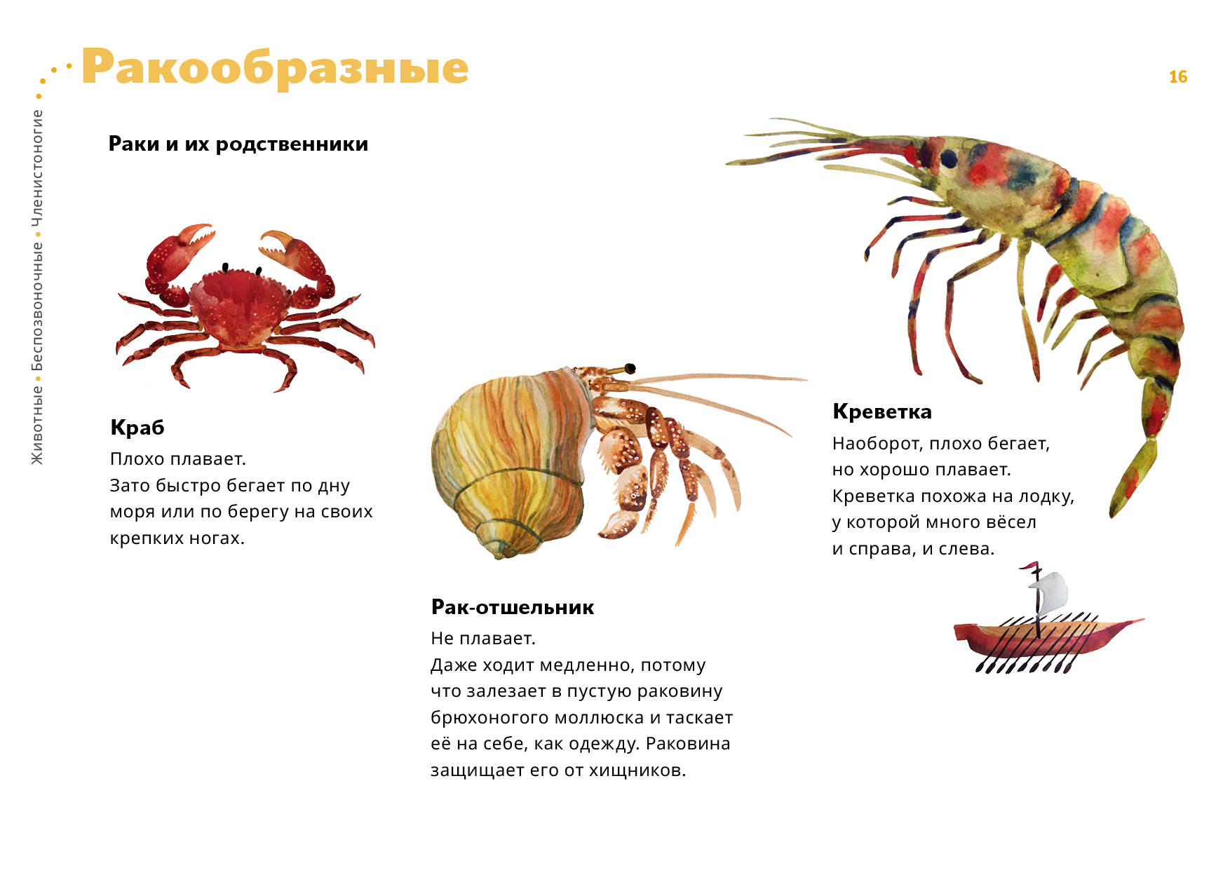 Сравните по рисунку конечности речного рака чем они различаются объясните причины этих различий