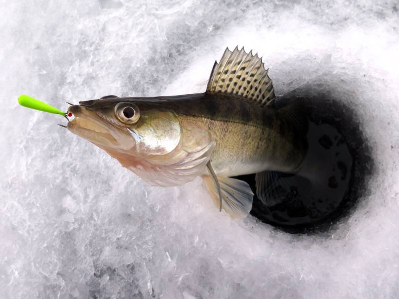 Лучшие мормышки для зимней рыбалки и уловистость мормышек