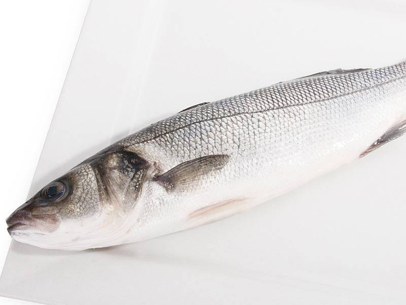 Рыба сибас: польза и вред, где водится, химический состав, сколько калорий, можно ли детям
