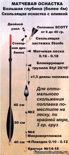 ᐉ правильная поплавочная снасть на красавца карпа - ✅ ribalka-snasti.ru