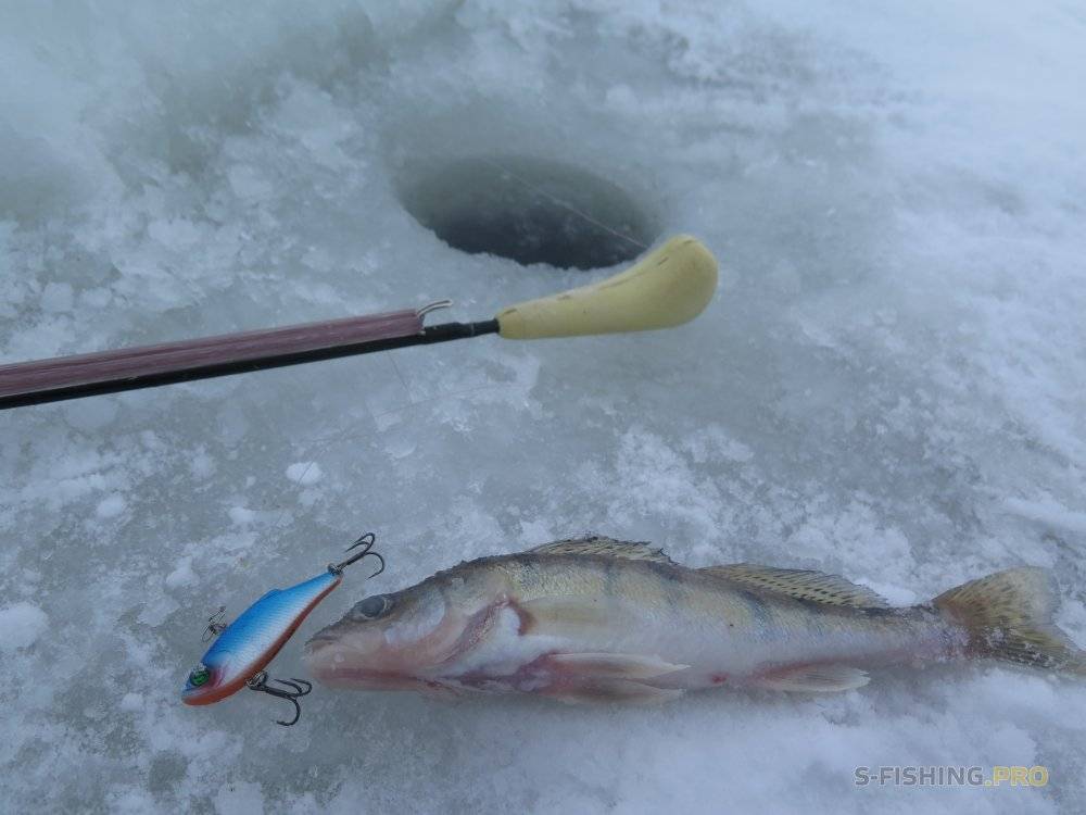 Лучшее снаряжение для ловли зимнего судака на тюльку