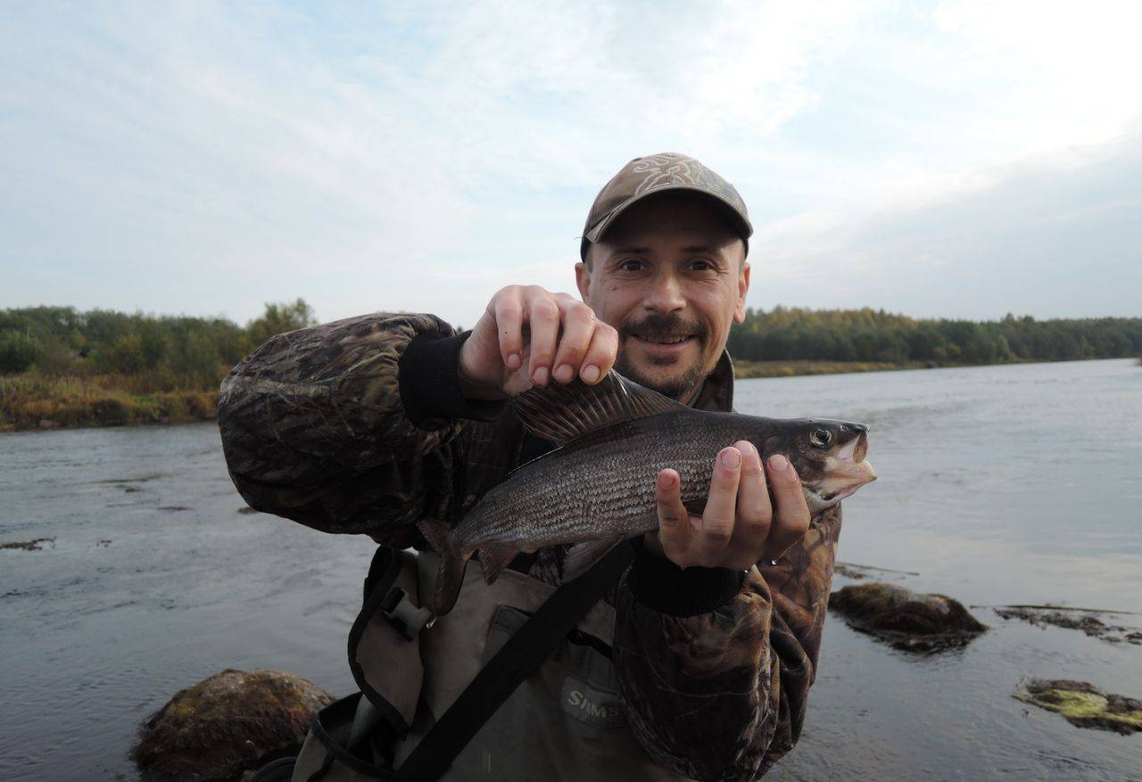 Рыбалка на волхове с берега — лучшие места для ловли, какие виды рыб водятся
