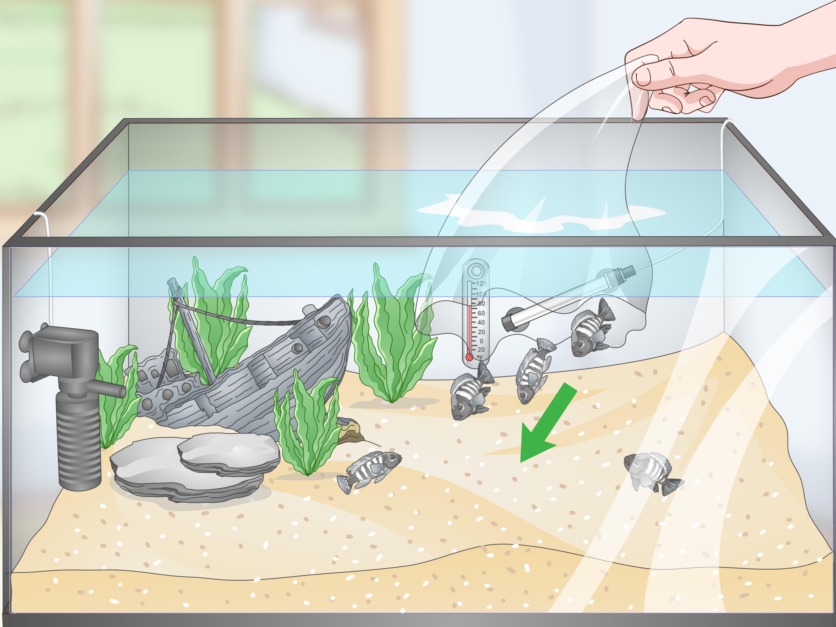 Особенности дезинфекции аквариума при перезапусках