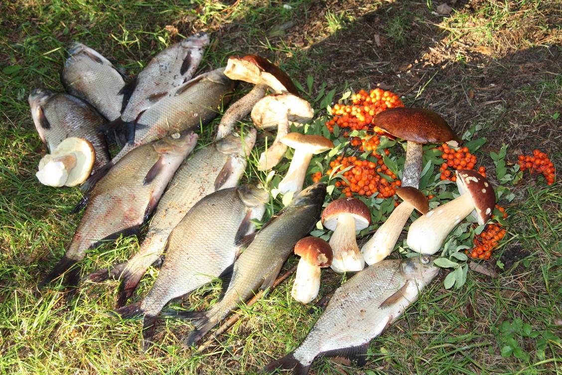 Сообщества › охота и рыбалка › блог › рыбалка на селигере когда-то была не плохой