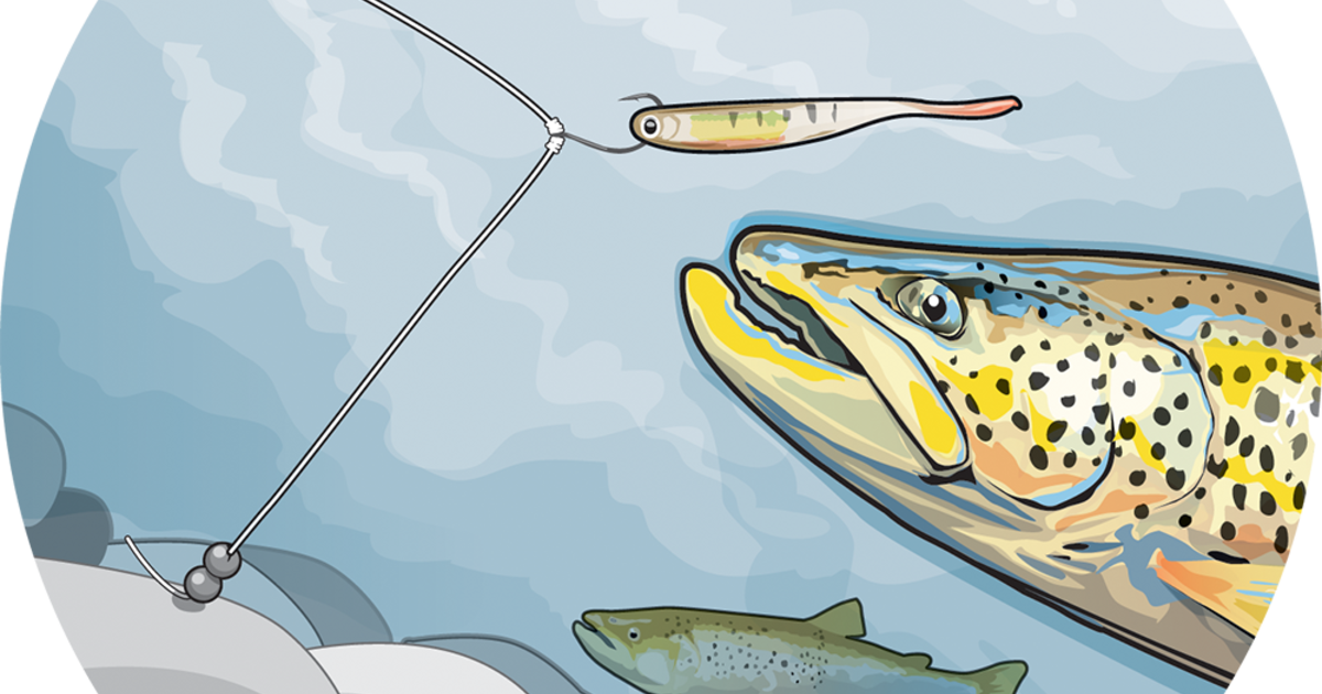Рыболовные крючки: полное руководство по строению, типам, размерам и их назначению
