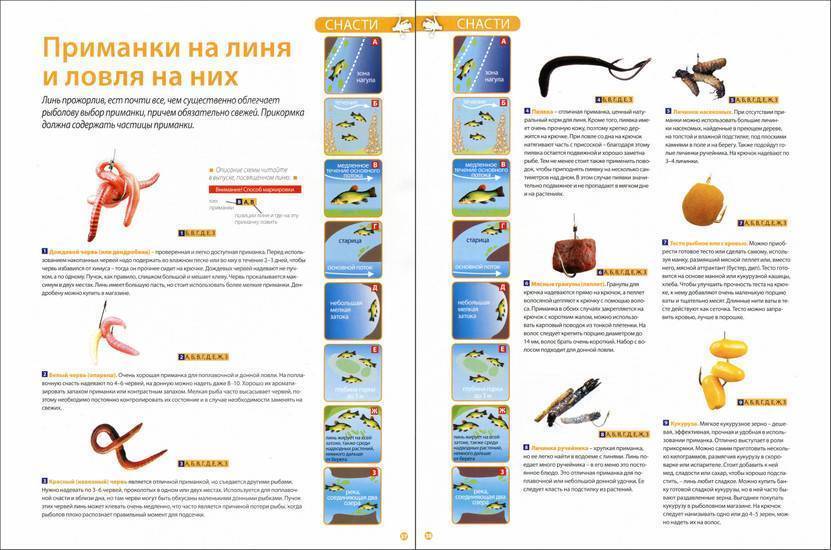 Как рыбачить (с иллюстрациями) - wikihow