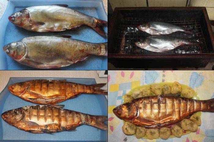 Рыба холодного копчения, как ее приготовить в домашних условиях