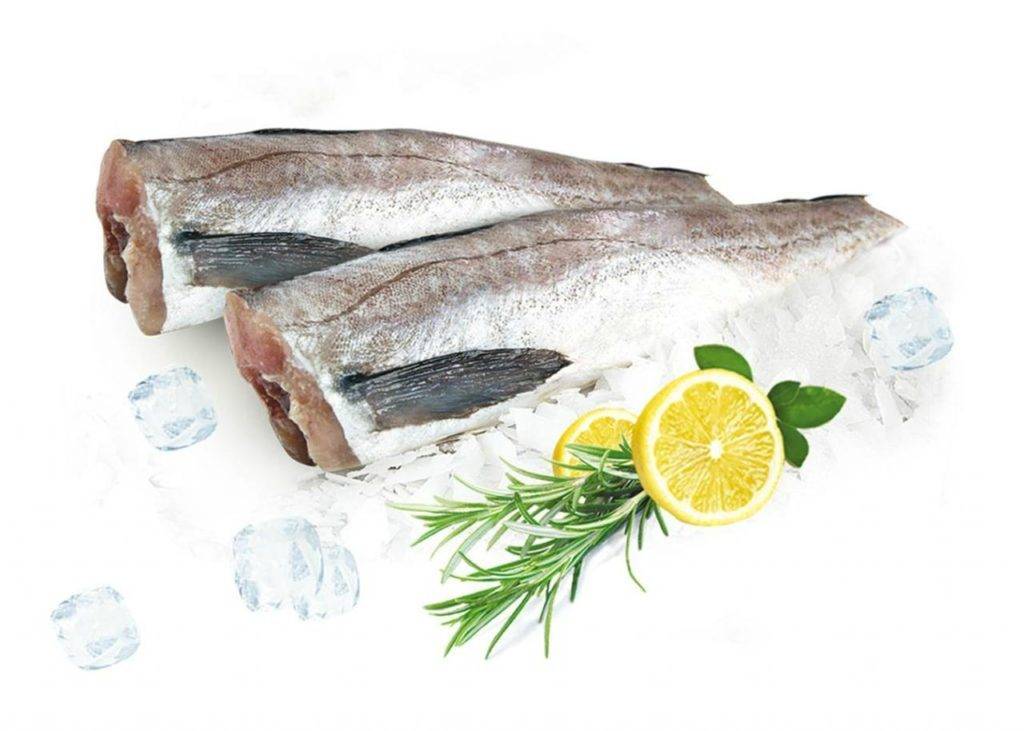 Рыба путассу: польза и вред, фото, как приготовить | zaslonovgrad.ru