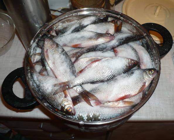 Таранка (таранька) / заготовка рыбы / tvcook: пошаговые рецепты с фото