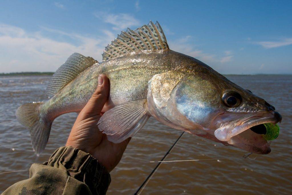 Рыбалка в брестской области, реки и озера региона