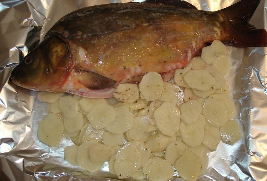 Рыба в духовке (более 100 рецептов с фото) - рецепты с фотографиями на поварёнок.ру