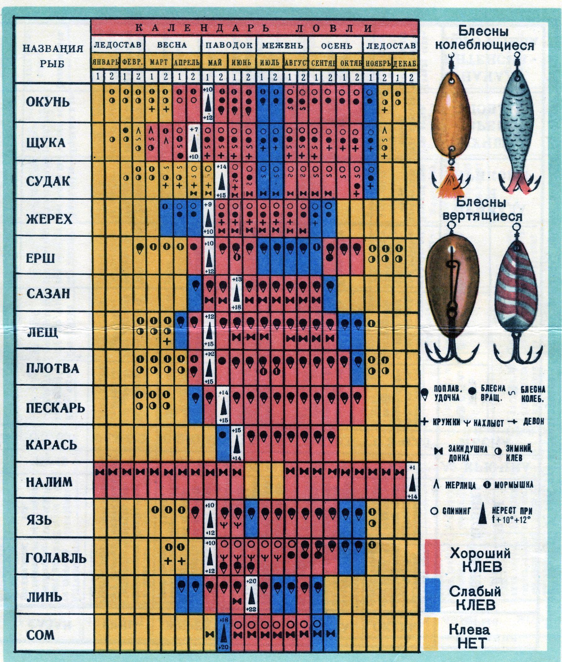 Голавль - подробное описание рыбы: где обитает, чем питается