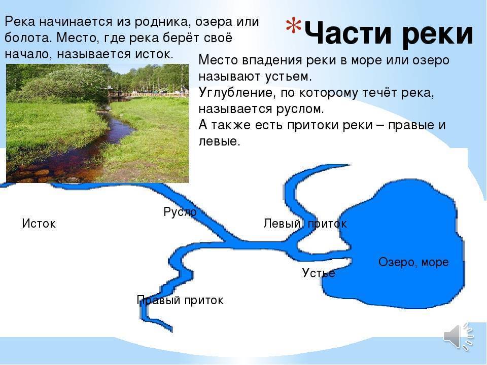 Сухона: река без правил, в которую можно войти дважды - русский север