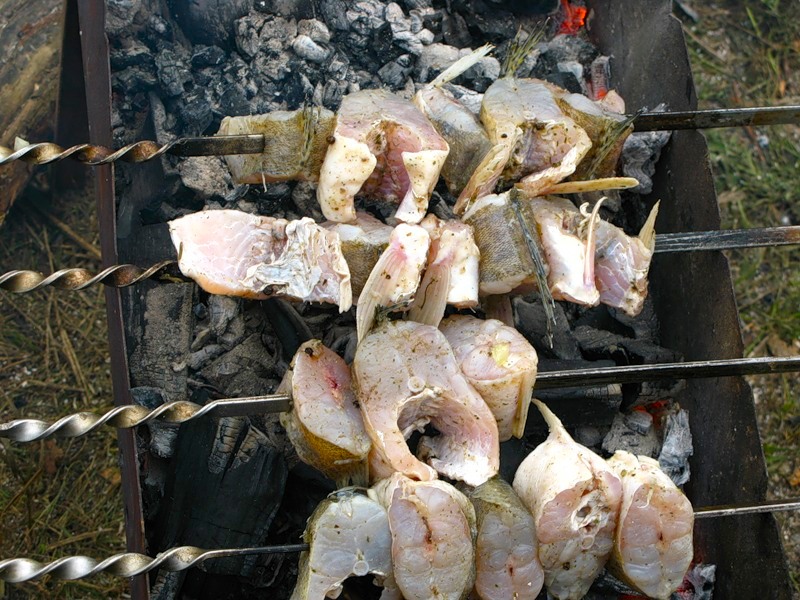 Шашлык из рыбы калуга рецепты приготовления