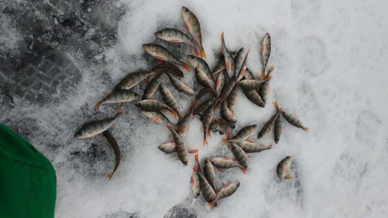 Зимняя рыбалка в татарстане