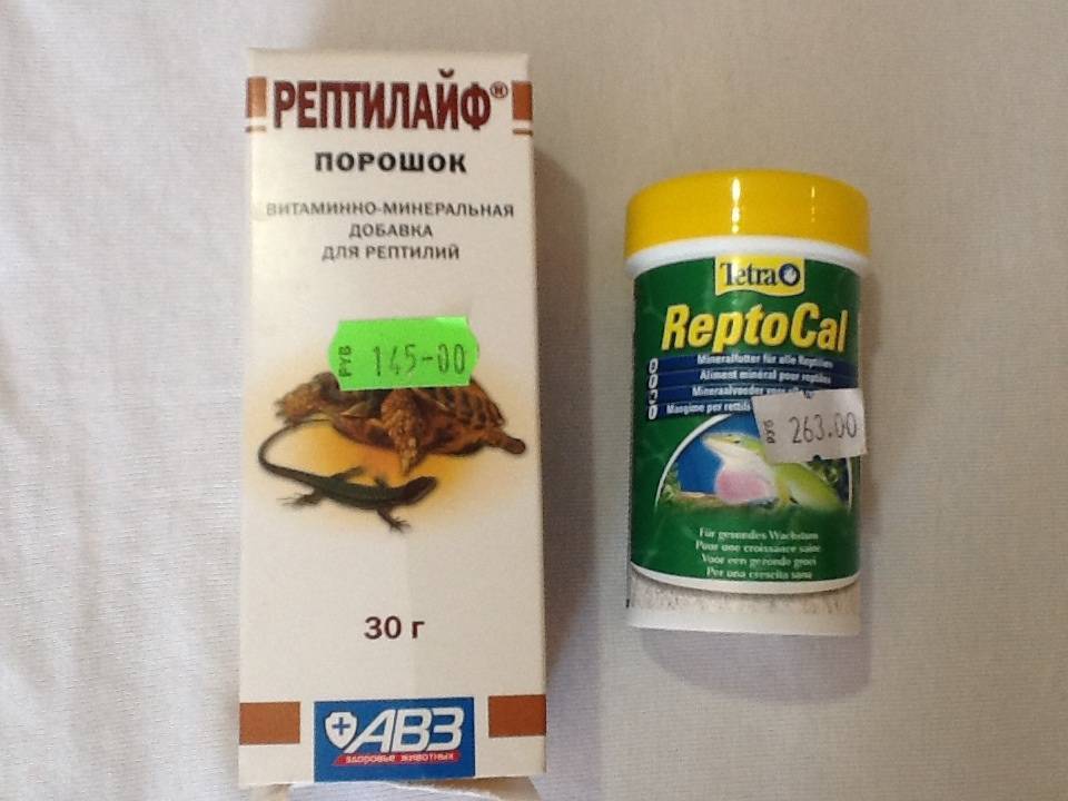 Болезни красноухих черепах, связанные с нехваткой витаминов и кальция