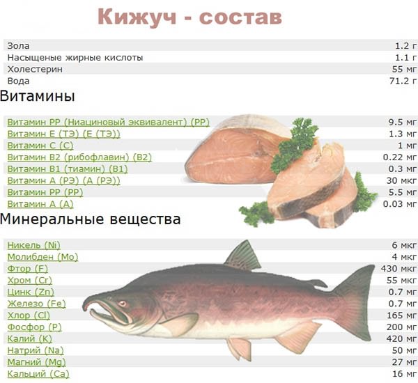 Красная рыба Кета – польза и вред, калорийность и химический состав