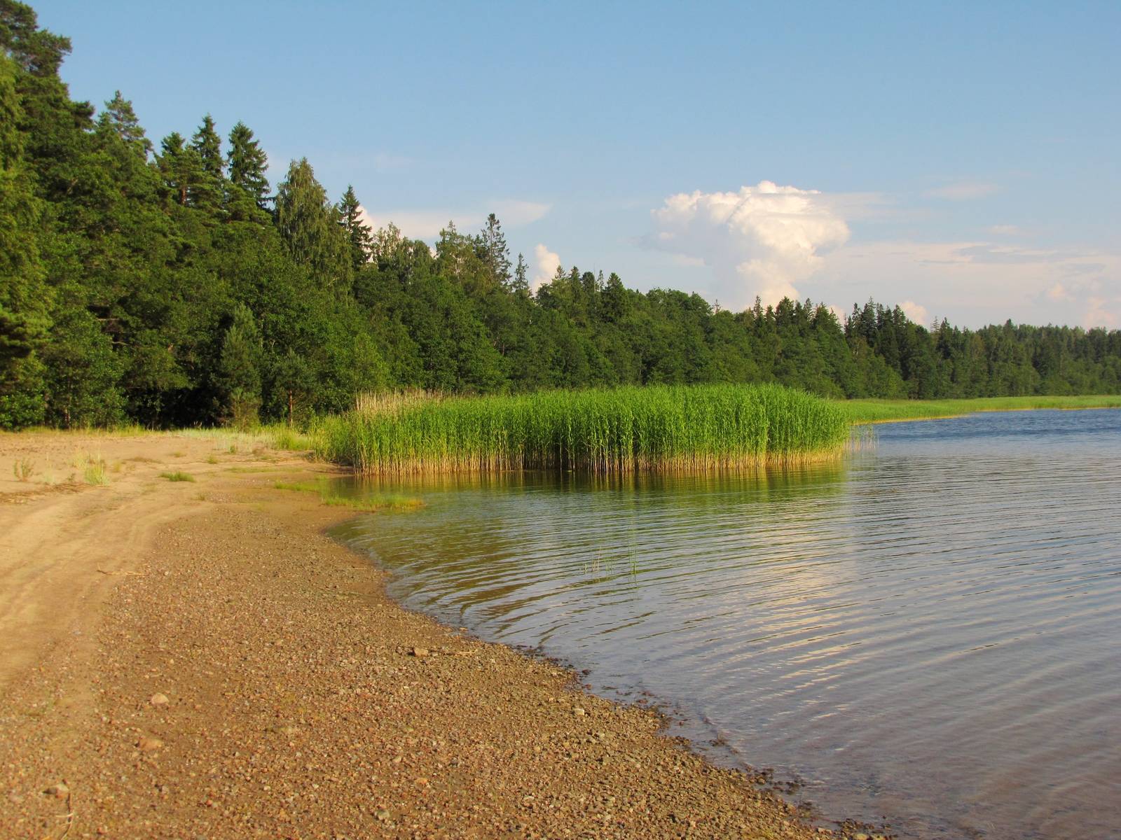 Топ самых популярных озер ленинградской области для купания и отдыха