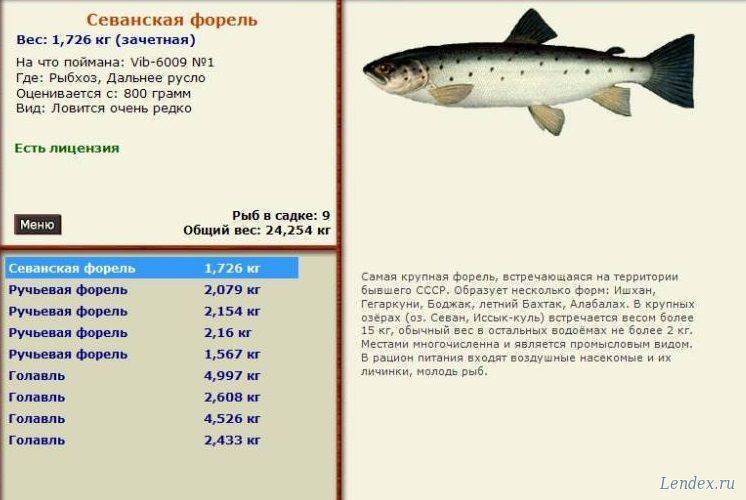 Определите по рисунку вид изоляции севанской форели