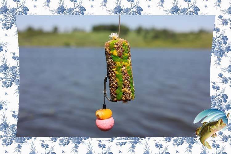 Консервированная кукуруза: польза и вред, калорийность