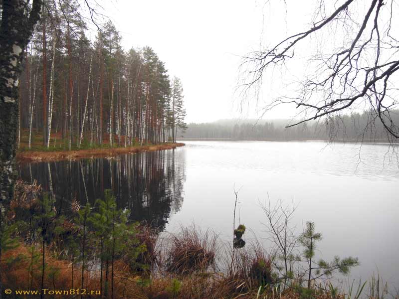 Озеро белое лужский район