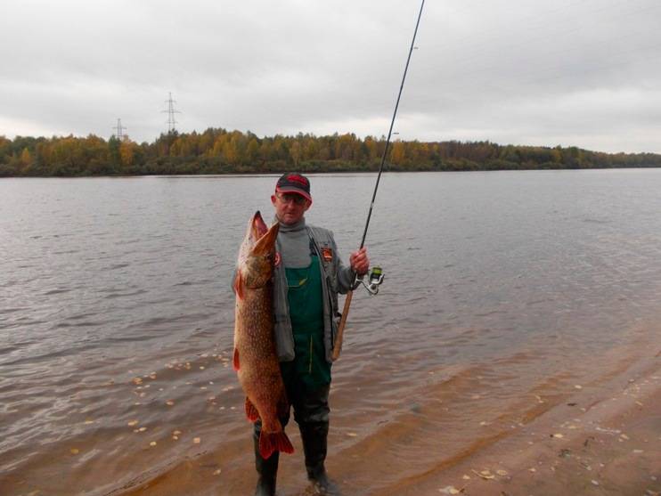 Рыбалка на реке волга: как и на что ловить, лучшие места