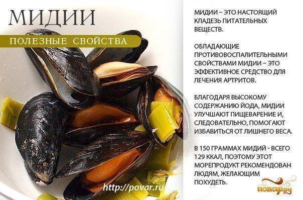 Рыбный бульон — спасение от болезней! готовим правильно!