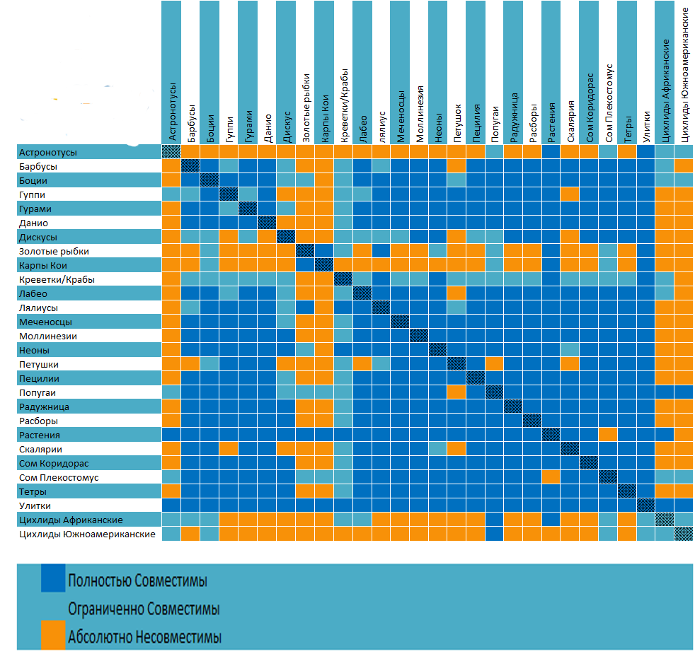 Совместимость видов аквариумных рыбок в одном аквариуме (таблица)