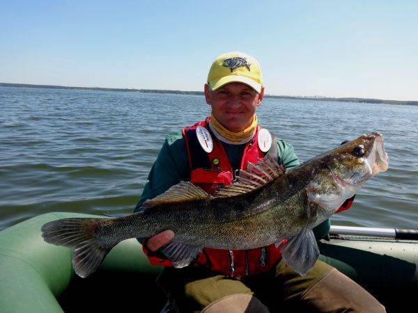 Нюансы весенней джиговой ловли судака с берега. водохранилище
