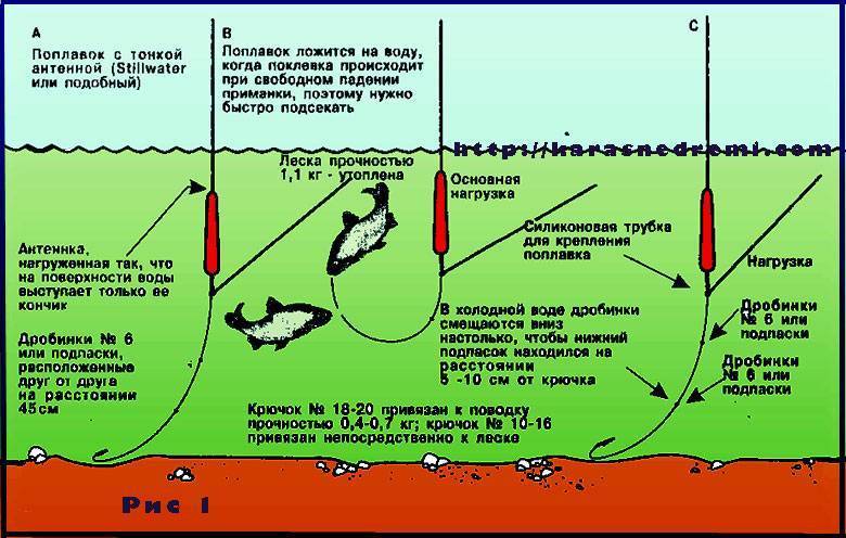 Способы ловли рыбы | обзор для начинающих рыбаков