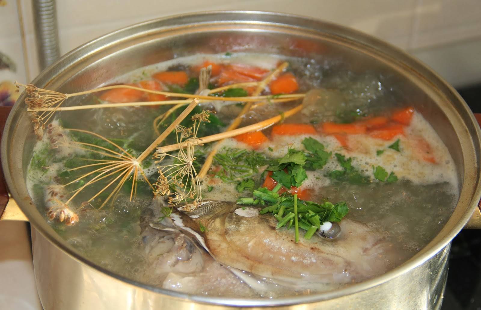Классическая уха – 6 простых и вкусных рецептов