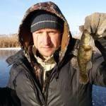 Ловля ротана по первому льду – интересная и результативная рыбалка | клёвый | яндекс дзен