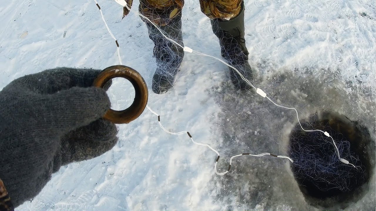 Зимняя торпеда. Сети для зимней рыбалки. Рыбалка сетями зимой. Сеть для подледного лова. Сетку зимой рыболовная.