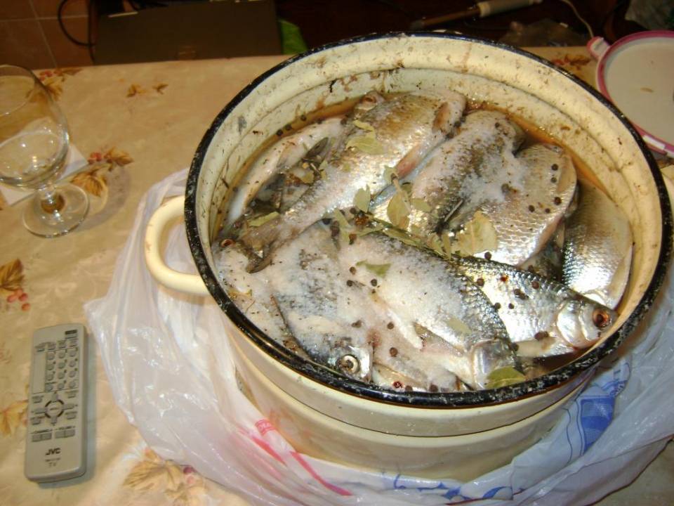 Как убрать соль из рыбы — что делать, если рыба пересолена. как вымочить соленую рыбу: рецепты, советы и правила вымачивания
