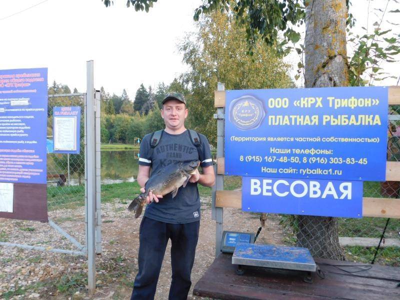 Рыбалка в псковской области: описание, прогнозы, карты